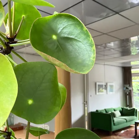 Сasa de vacaciones De Oude Kleuterschool Zoelen